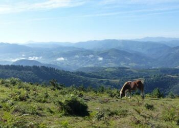 Les Pays-Bas se rapprochent de la France à l’indice UEFA – L’Équipe