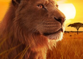 « Mufasa : Le Roi Lion » : premiers chiffres décevants pour le film en France ! – Purecharts « Mufasa : Le Roi Lion » : premiers chiffres décevants pour le film en France ! – Purecharts