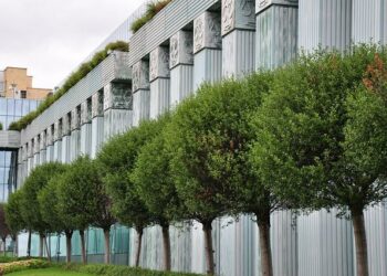 Coupe de France : Corte affrontera l’OGC Nice le week-end du 21 décembre – Corse Net Infos