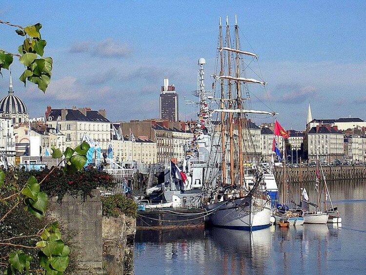 Entre Nantes et Saint-Nazaire, ils coupent la poire en deux et font leur nid à Savenay – Ouest-France Entre Nantes et Saint-Nazaire, ils coupent la poire en deux et font leur nid à Savenay – Ouest-France
