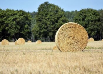 Garbe ne manque pas d’ambition en France – Business Immo