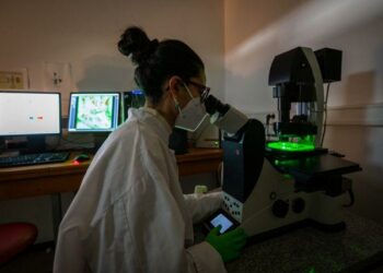 Un laboratoire de l’université de Bordeaux évacué après la découverte d’un acide explosif – ici, le média de la vie locale