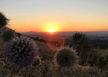 Les Victoires du Sport 2025 : Nice, un écosystème sportif et économique en plein essor – Invest in Côte d’Azur Les Victoires du Sport 2025 : Nice, un écosystème sportif et économique en plein essor – Invest in Côte d’Azur