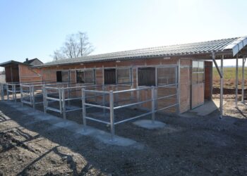 Paddocks du Tour de France femmes 2023 : Le Felt AR d’Audrey Cordon-Ragot (Human Powered Health) – Le Cycle