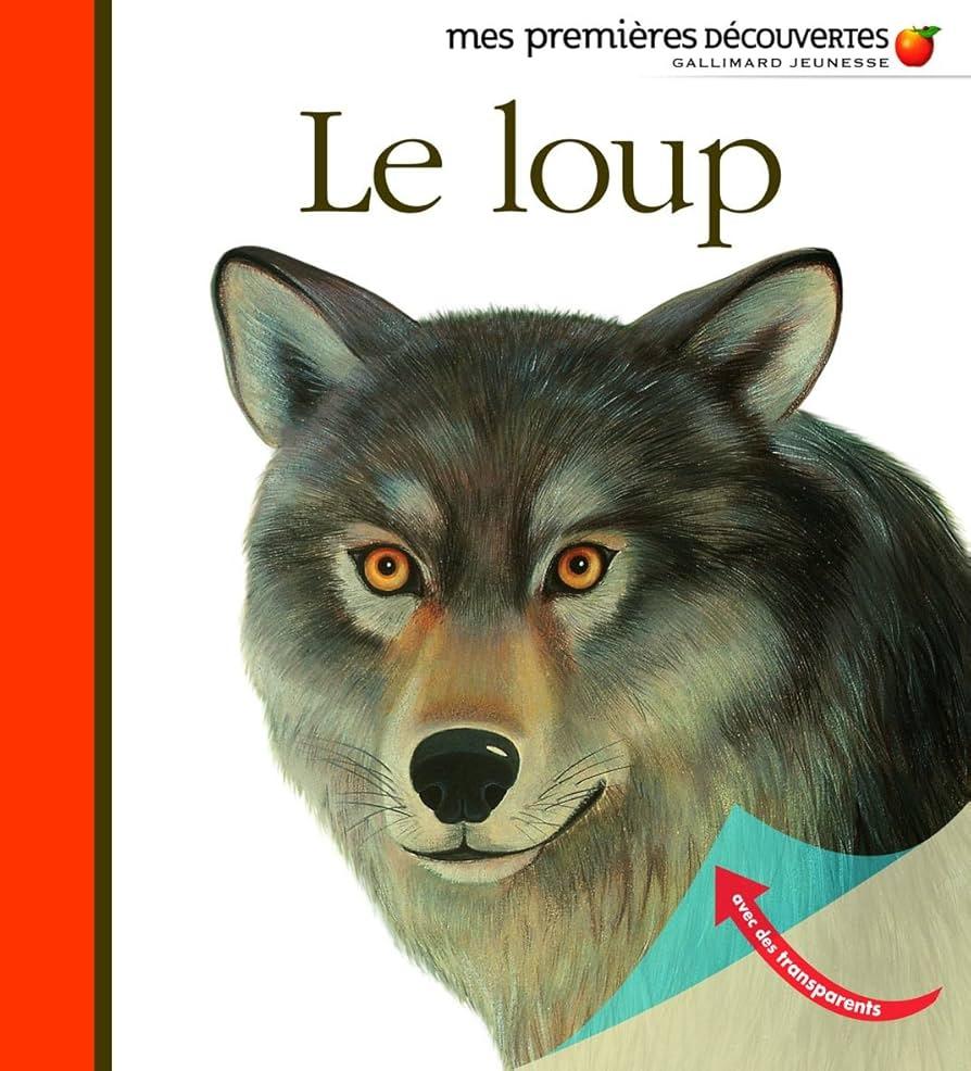 Combien de loups sont présents en France ? – Science et Vie