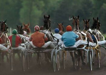 Quinté à Paris-Vincennes du jeudi 20 février : les pronostics d’Hervé Fortin – ici, le média de la vie locale Quinté à Paris-Vincennes du jeudi 20 février : les pronostics d’Hervé Fortin – ici, le média de la vie locale