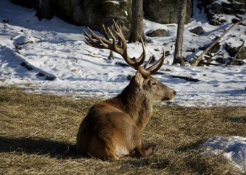 En France, la satisfaction dans la vie est la même qu’il y a 10 ans – Insee