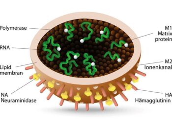 À cause de la grippe, le masque fait son retour à Nice dans les services municipaux – France 3 Régions
