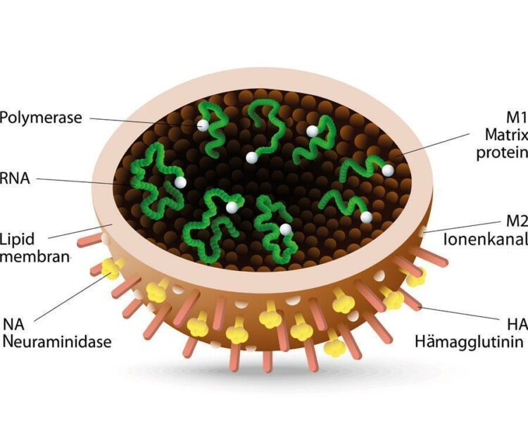À cause de la grippe, le masque fait son retour à Nice dans les services municipaux – France 3 Régions À cause de la grippe, le masque fait son retour à Nice dans les services municipaux – France 3 Régions