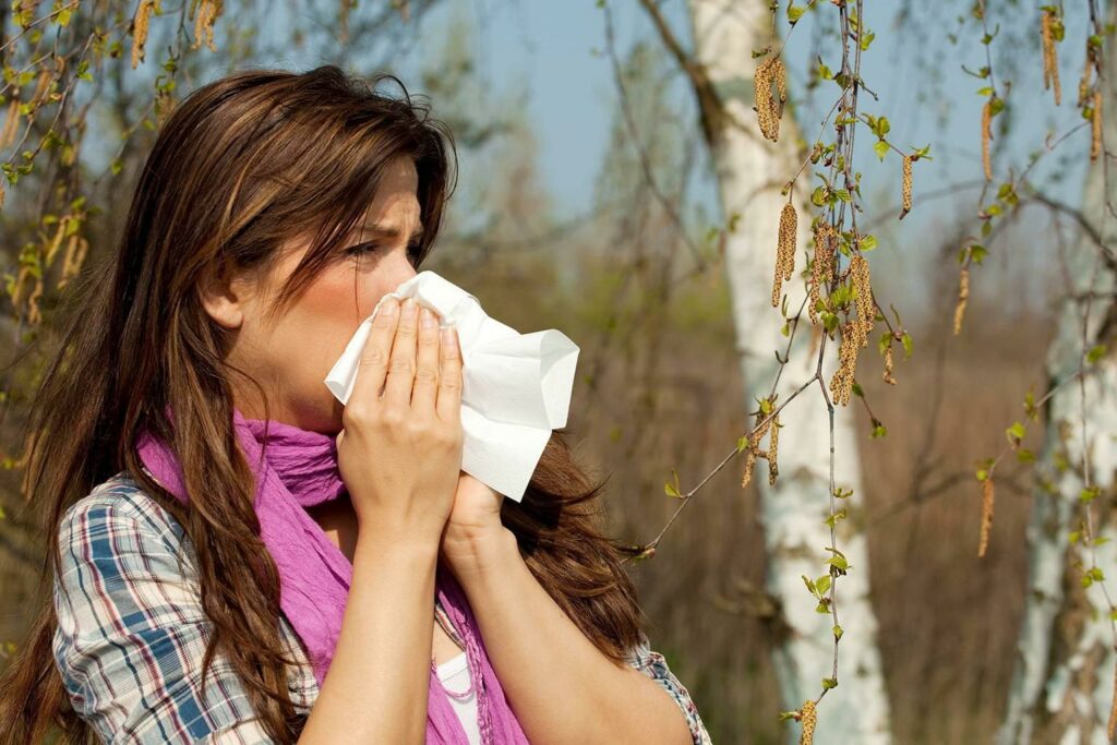 VRAI/FAUX. Allergie aux pollens : six idées reçues sur cette alerte qui touche la France – Ouest-France