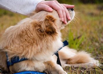 Nine Inch Nails : un second concert en France à la LDLC Arena de Lyon en juillet 2025 ! – RockUrLife Nine Inch Nails : un second concert en France à la LDLC Arena de Lyon en juillet 2025 ! – RockUrLife