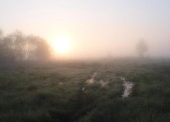 Météo : une « vague de chaleur » attendue cette semaine ! – Caminteresse.fr