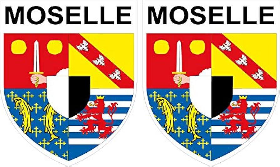 Moselle : des « ateliers foot valeurs » pour les footballeurs en herbe – ici, le média de la vie locale