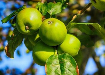 Uwe Wittstock: Marseille 1940 – goethe.de