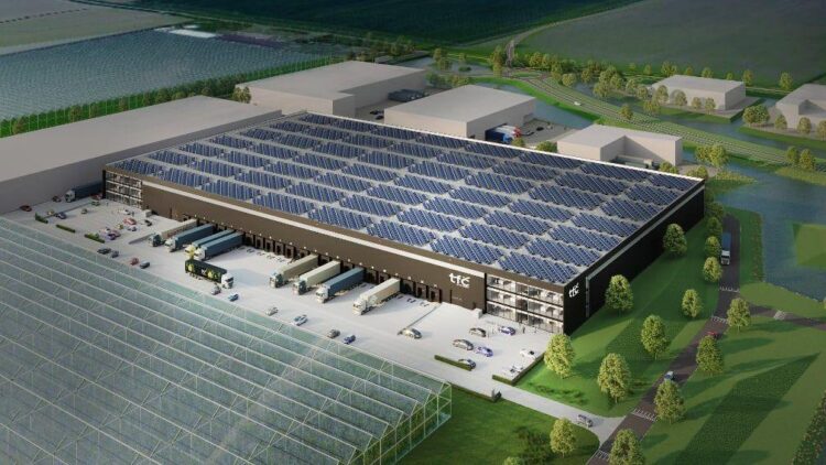 TFC – Guingamp : Inoffensifs, dépassés, éliminés ! Comment Toulouse a laissé passer sa chance en Coupe de France – La Dépêche du Midi TFC – Guingamp : Inoffensifs, dépassés, éliminés ! Comment Toulouse a laissé passer sa chance en Coupe de France – La Dépêche du Midi