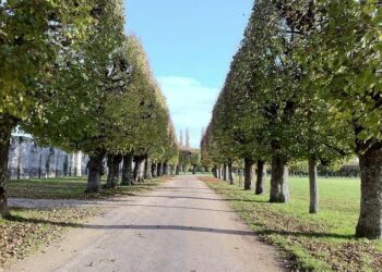 Journée internationale des châteaux 2025 : les beaux châteaux à visiter en Île-de-France – Sortiraparis Journée internationale des châteaux 2025 : les beaux châteaux à visiter en Île-de-France – Sortiraparis