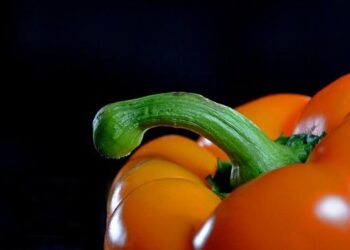 Actes antisémites, le Bas-Rhin parmi les territoires les plus touchés selon un rapport – France 3 Régions