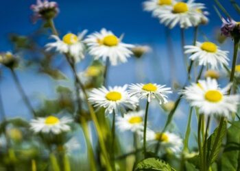 Les spectacles et pièces de théâtre qui commencent en avril 2025 à Paris et en Île-de-France – Sortiraparis