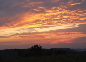 XV de France : « Damian Penaud ? J’ai passé 2h avec lui mardi… » Les confidences de Fabien Galthié à propos de l’absence de l’ailier contre l’Italie – La Dépêche du Midi