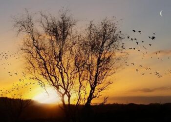 Le soleil fait son grand retour en France, bonne nouvelle pour notre moral ! – Radio France