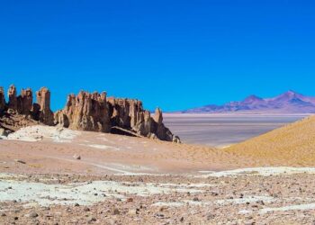 Soupçonné d’être derrière les attaques au marteau des restaurants indiens de Lille, un homme interpellé – France 3 Régions