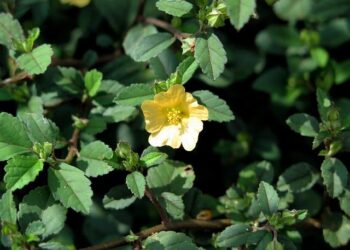 Sida : une patiente potentiellement guérie à Marseille, une première en France – Le Figaro