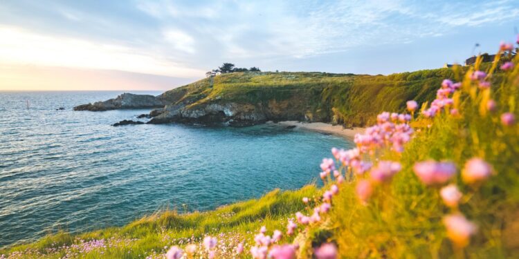 Saint-Brieuc – PSG : la billetterie du quart de finale de Coupe de France ouverte aux abonnés du Stade Briochin – Le Télégramme