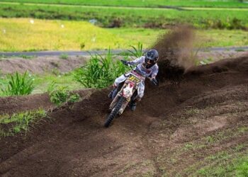 Professional training: the new University Bachelor of Technology – Campus France