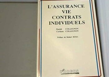 Les contrats en VIE : ces jobs en or toujours plus convoités – Les Échos