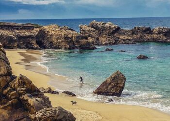 PFAS : la France adopte une loi salutaire – Actu-Environnement