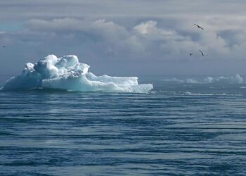 Climate tech : les technologies face au changement climatique – Big média