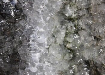 Froid et brouillard au menu de la météo de jeudi à Toulouse et en Occitanie – actu.fr