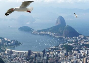 Enquêtes de Région – Paris Ile-de-France les replays et vidéos en streaming Paris Ile-de-France – France 3 Régions