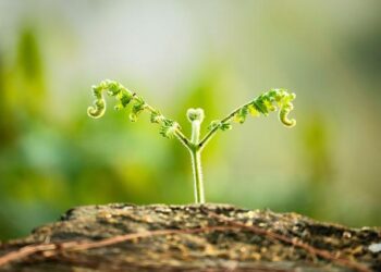 Programme ETIncelles : accompagner les petites et moyennes entreprises dans leur croissance – Direction Générale des Entreprises Programme ETIncelles : accompagner les petites et moyennes entreprises dans leur croissance – Direction Générale des Entreprises