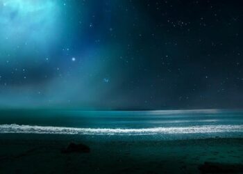 À Marseille, la Marina olympique devient un stade nautique municipal – France Culture