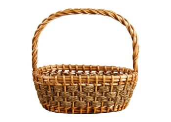 Basket / Équipe de France : Diaw donne des nouvelles de Wembanyama – RMC Sport