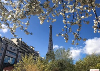 Les nouvelles sorties qui commencent en mars 2025 à Paris & Île-de-France, les nouveautés du mois – Sortiraparis Les nouvelles sorties qui commencent en mars 2025 à Paris & Île-de-France, les nouveautés du mois – Sortiraparis