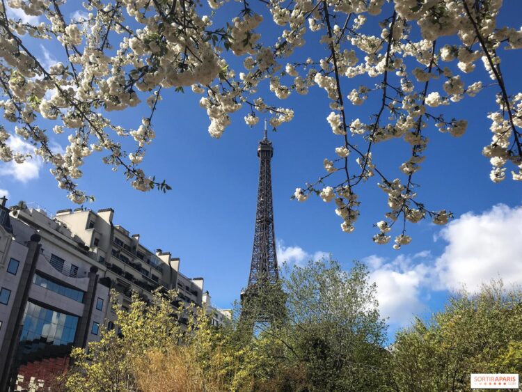 Les nouvelles sorties qui commencent en mars 2025 à Paris & Île-de-France, les nouveautés du mois – Sortiraparis Les nouvelles sorties qui commencent en mars 2025 à Paris & Île-de-France, les nouveautés du mois – Sortiraparis