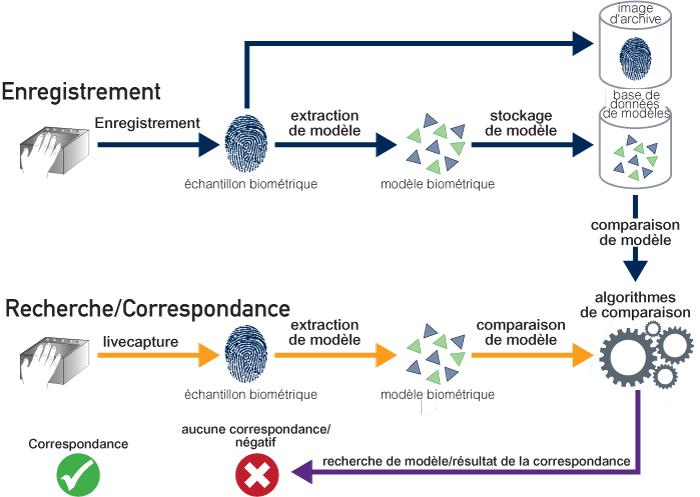 Enquête – Perception du développement des technologies biométriques en France – Défenseur des Droits