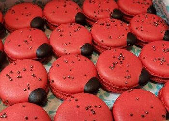 Macron et l’emprunt militaire : une stratégie aussi vieille que la France – Le Point