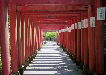 Yoichi Takahashi, le créateur du manga « Olive et Tom », accueilli comme une star à Marseille – franceinfo Yoichi Takahashi, le créateur du manga « Olive et Tom », accueilli comme une star à Marseille – franceinfo