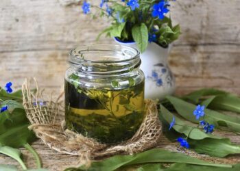 OL – PSG : La patte Paulo Fonseca a-t-elle déjà transformé Lyon ? – France Live