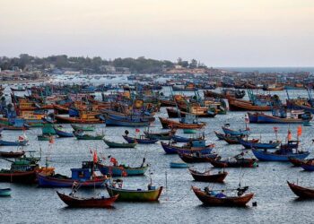 Un nouveau-né retrouvé mort à Tarare, la mère de 17 ans interpellée – France 3 Régions