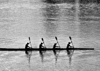 Aviron Bayonnais : Federico Mori et Xan Mousques titulaires pour le déplacement à Toulouse, dix changements – ici, le média de la vie locale