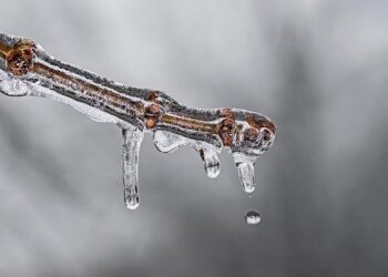 « Le GIEC, un autre machin onusien ? », sur France Culture : climat tendu entre science et politique – Le Monde