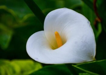 Procès de l’attentat de la basilique de Nice : les familles des disparus prennent la parole – Ouest-France