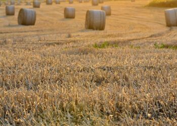 Sailorz Film Festival : la voile sur grand écran dans toute la France – Le Télégramme