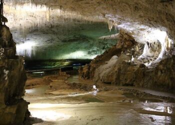 Grotte Chauvet : la science au pied des murs – France Culture