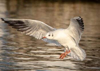 À Nantes, le nouvel escape game Game corp mise sur l’innovation pour survivre – Ouest-France