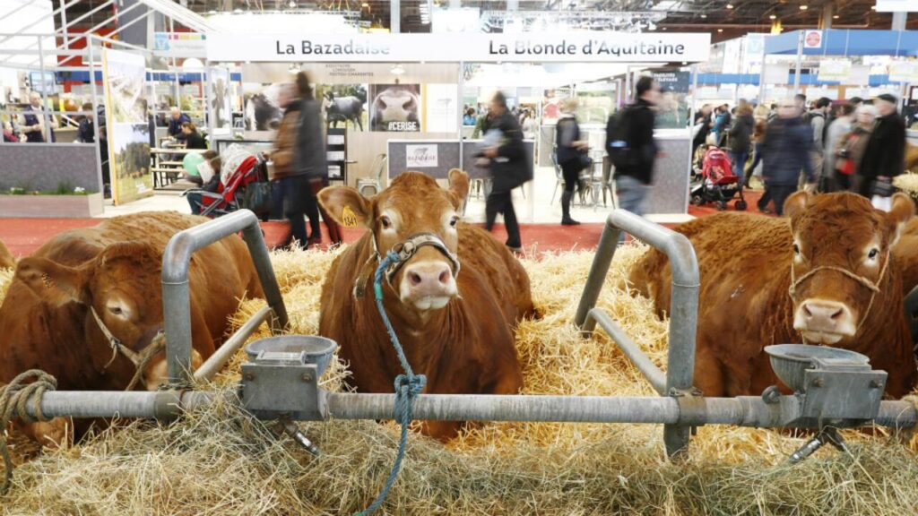 Au Salon de l’agriculture, un texte de soutien « à quatre filières », annonce Audrey Pulvar, adjointe à la Maire de Paris – Radio France